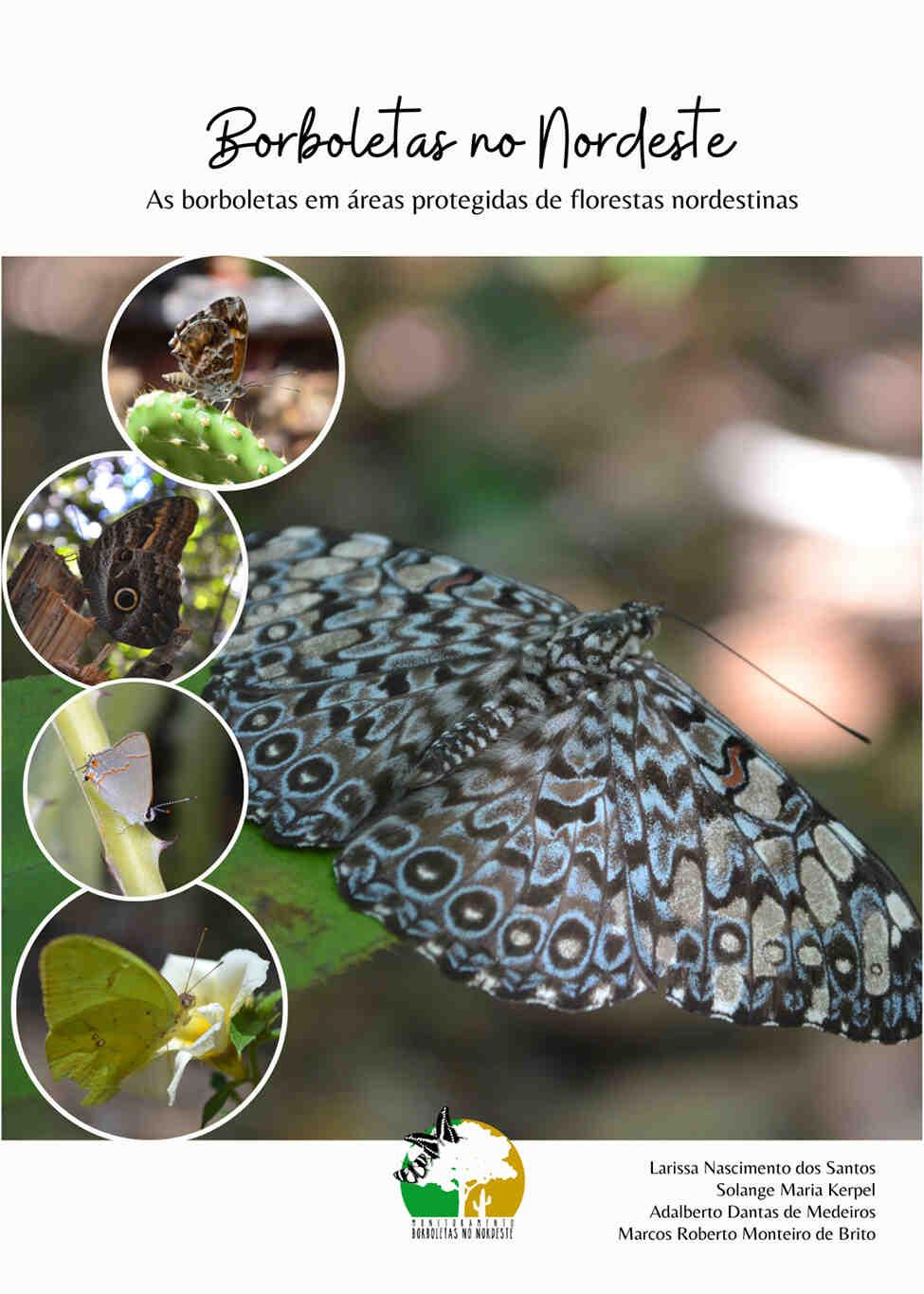 A capa possui fundo branco, centralizado no topo está o logotipo da EDUFCG, logo abaixo está o título do livro “Borboletas no Nordeste: as borboletas em áreas protegidas de florestas nordestinas”. No centro da capa há a foto de uma borboleta e no canto esquerdo há quatro círculos com imagens de diferentes borboletas. Centralizado na base há o logotipo do monitoramento borboletas do nordeste e no canto inferior direito está o nome dos autores. 